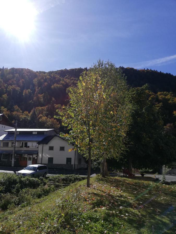 Apartament Langa Castan Apartman Azuga Kültér fotó