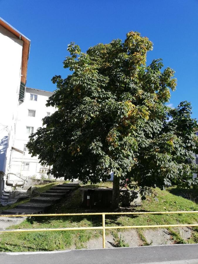 Apartament Langa Castan Apartman Azuga Kültér fotó