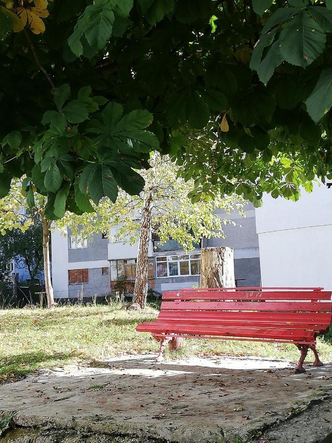 Apartament Langa Castan Apartman Azuga Kültér fotó